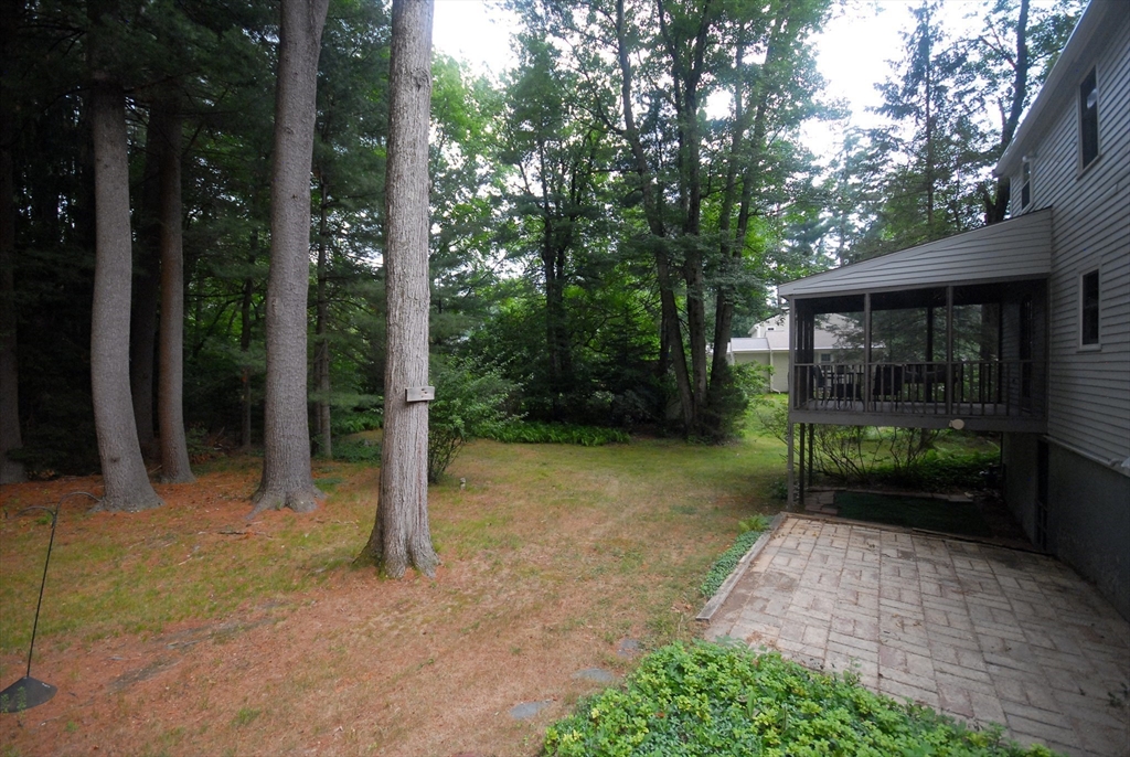 6 Hosmer Street Property Photo 31