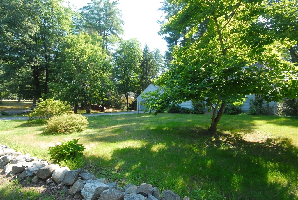 6 Hosmer Street Property Photo 36