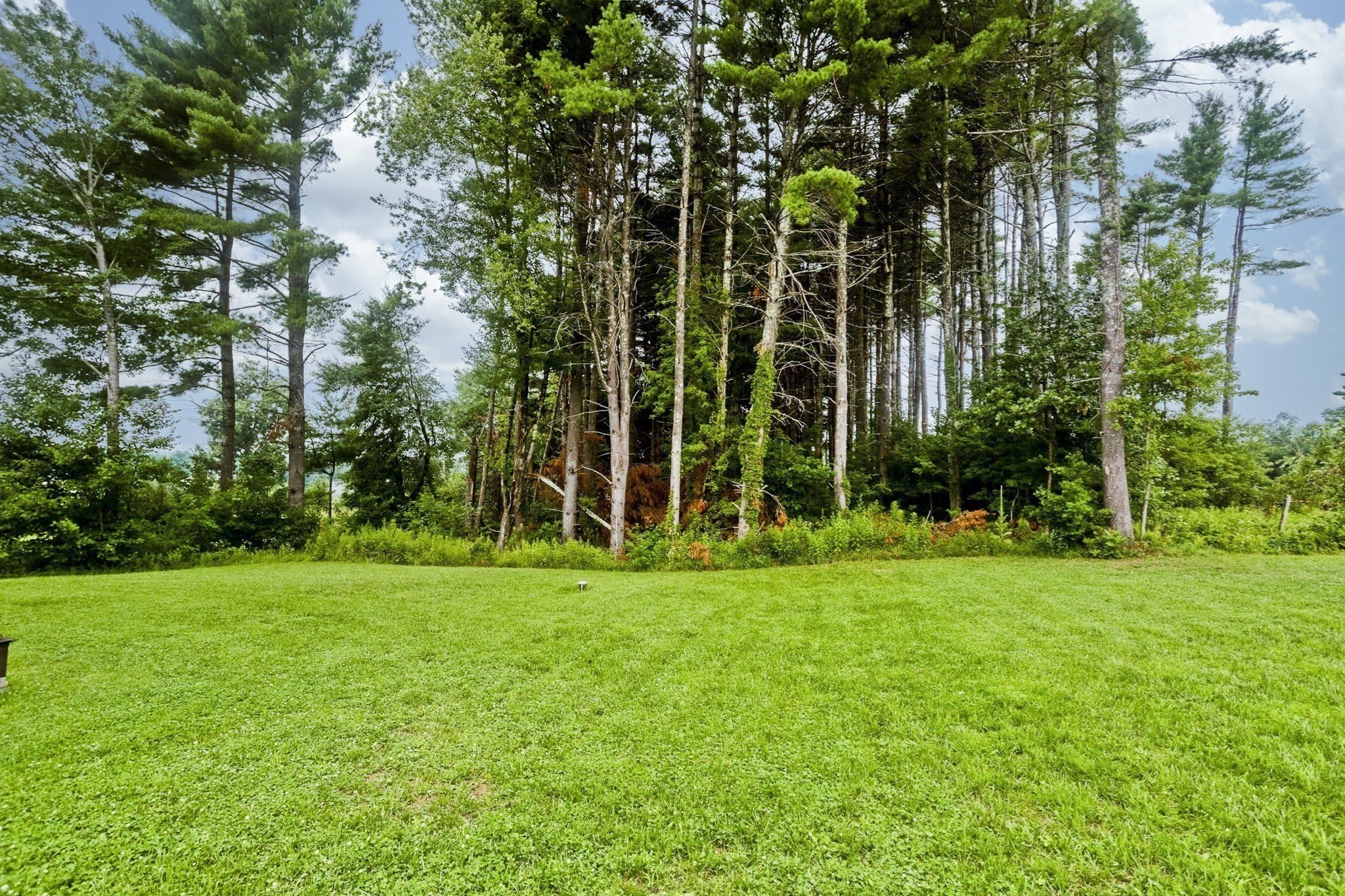11 Woodland Lane Property Photo 41