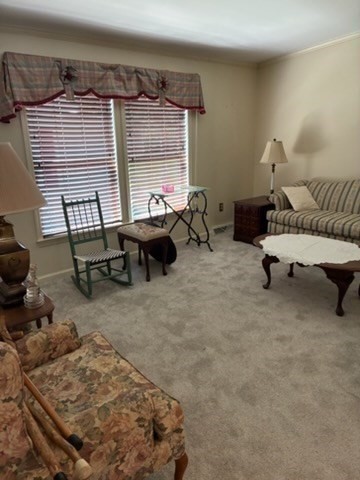 3 Merlin Drive # 277 Property Photo 18