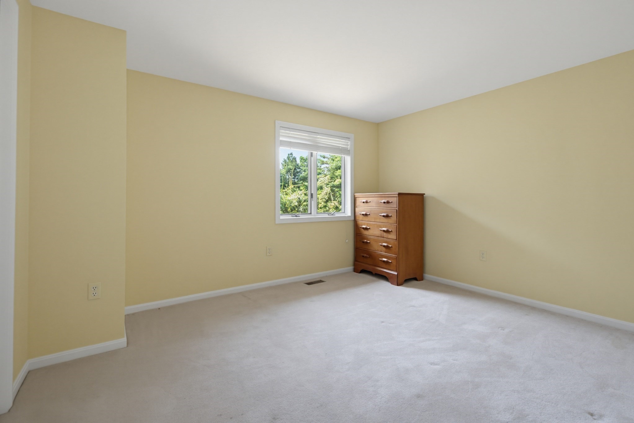 77a Christian Hill Property Photo 30