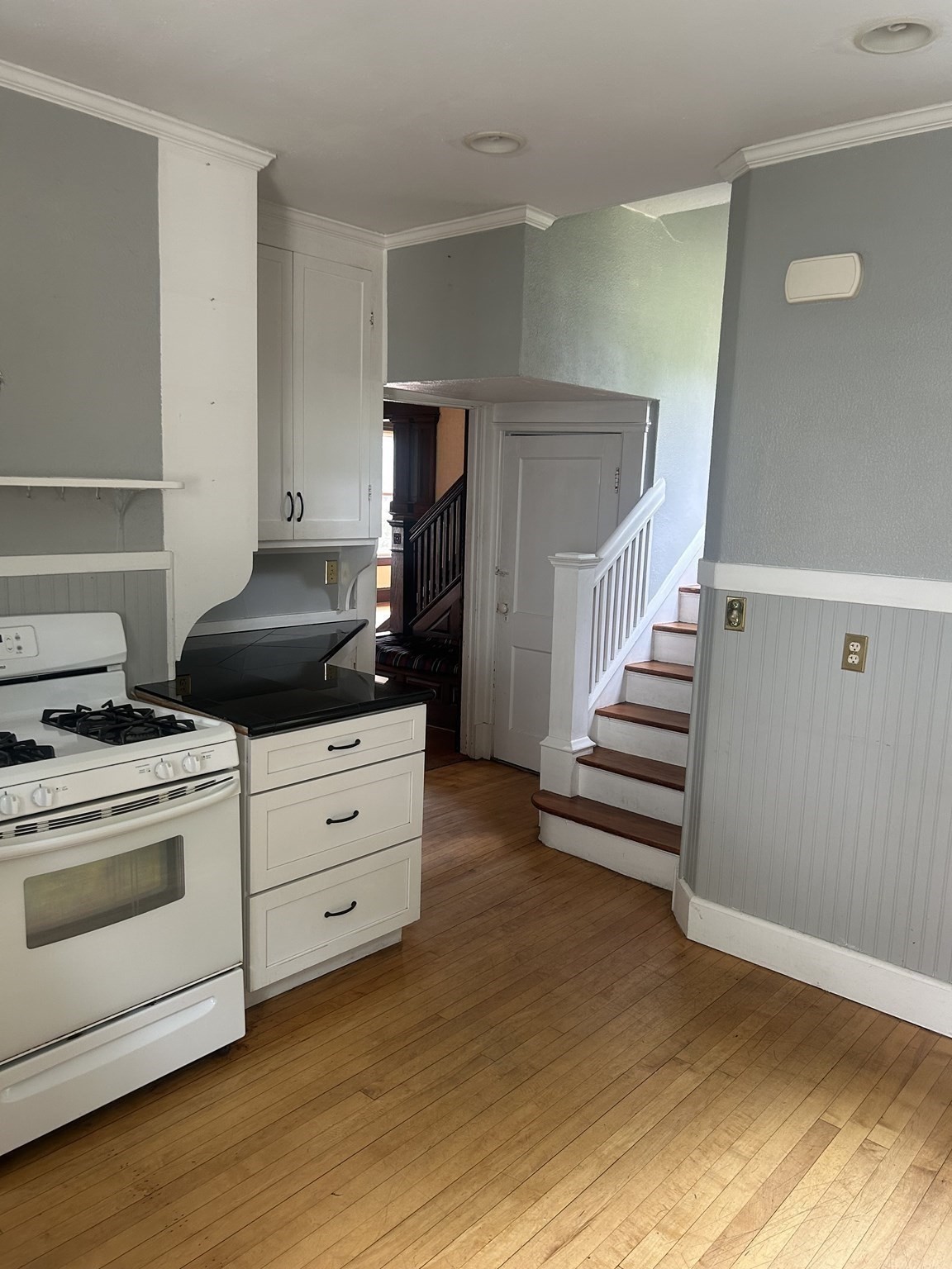 19 Wellesley Rd Property Photo 8