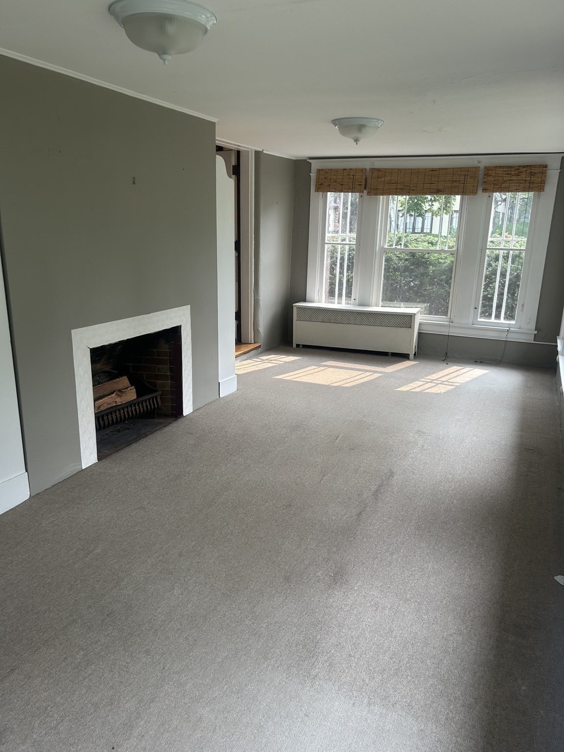 19 Wellesley Rd Property Photo 14