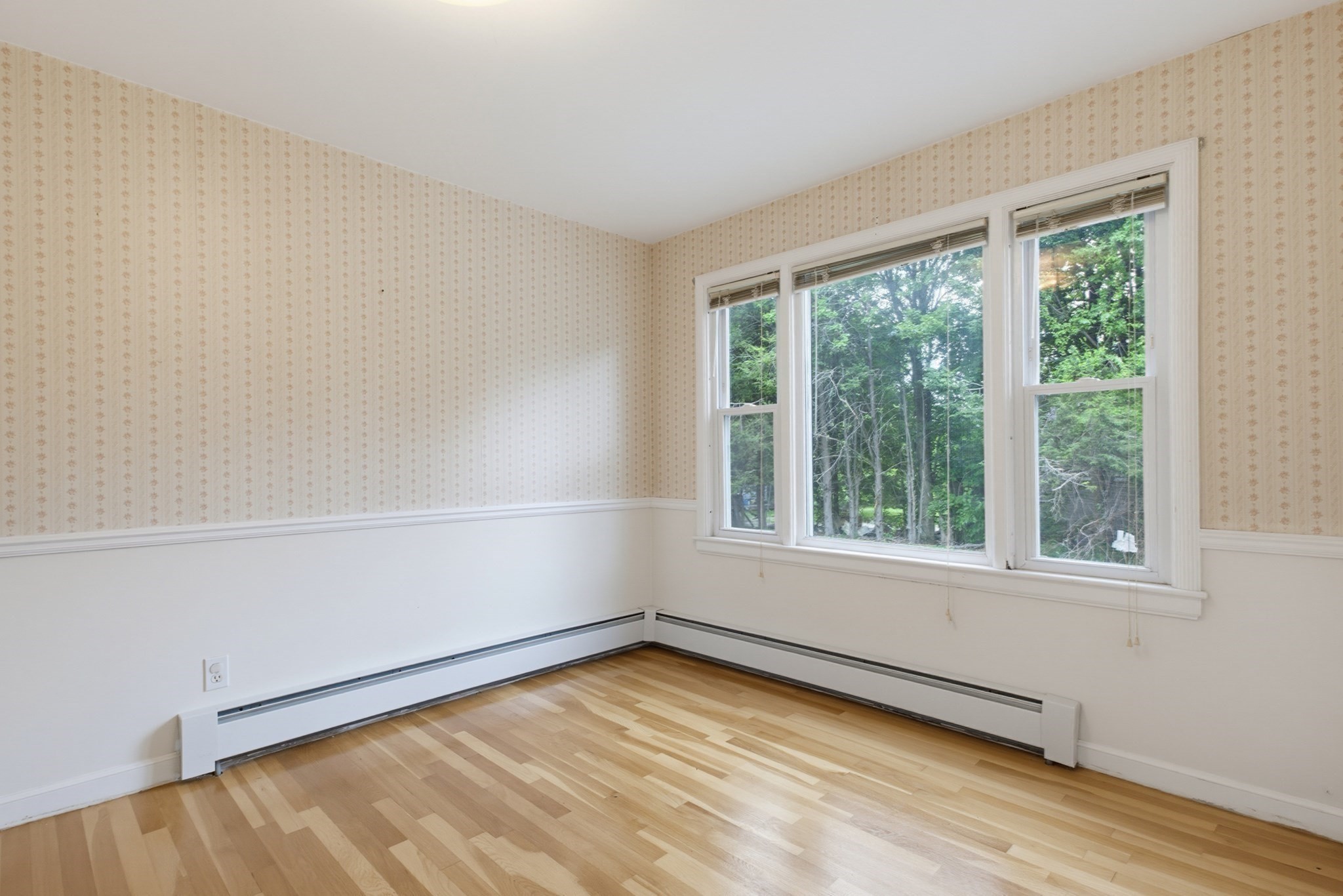 17 Reynolds St Property Photo 13