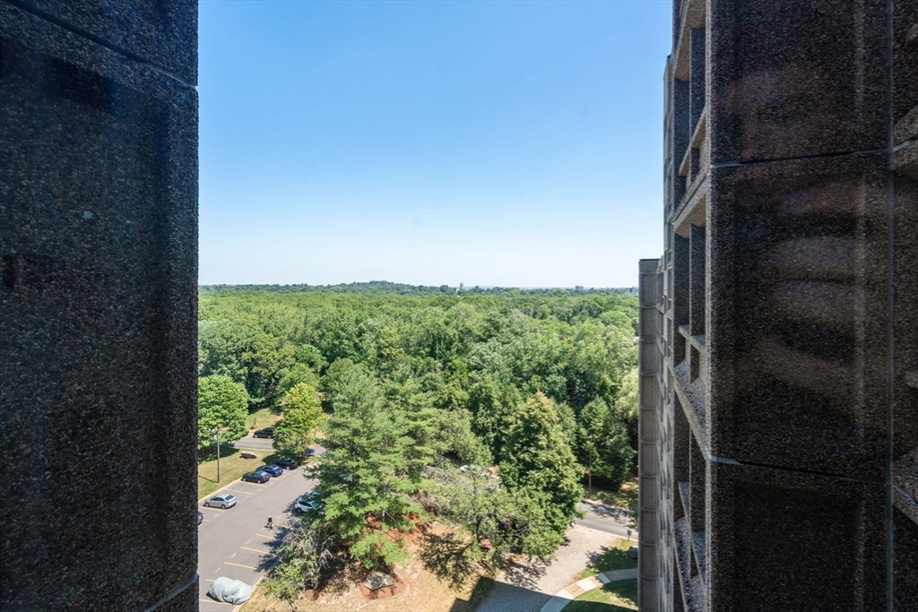 250 Hammond Pond Parkway # 1208n Property Photo 8
