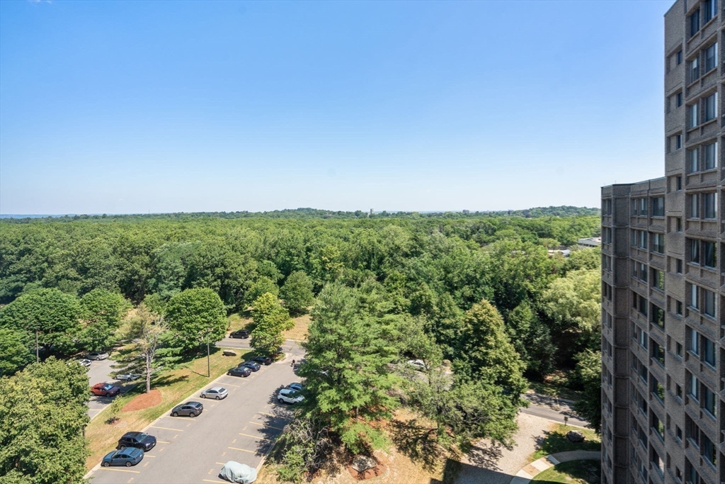 250 Hammond Pond Parkway # 1208n Property Photo 9