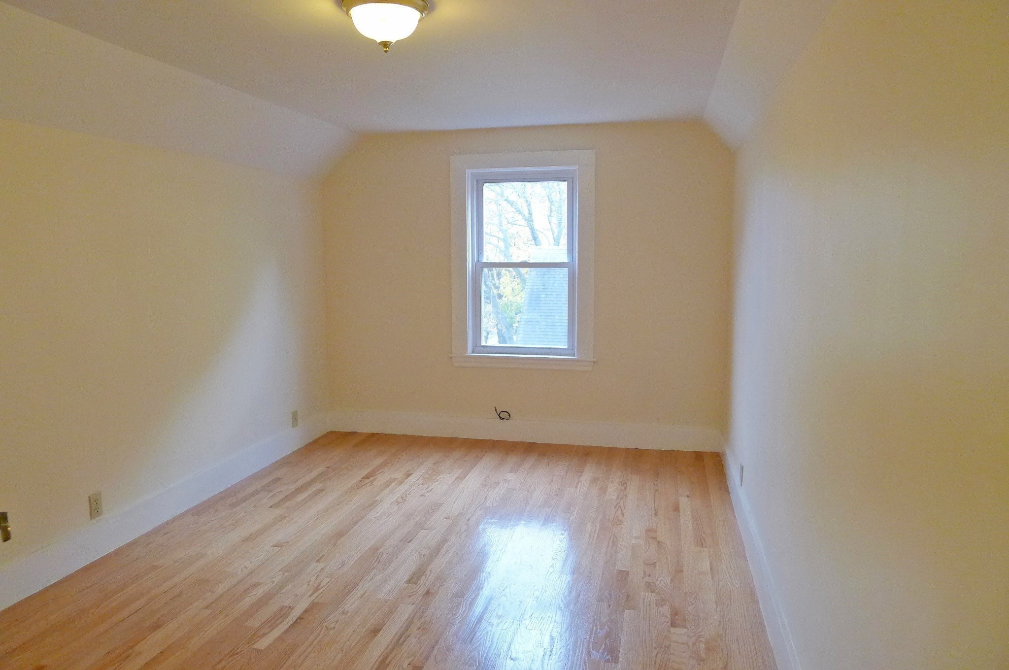155 Oak St Property Photo 16