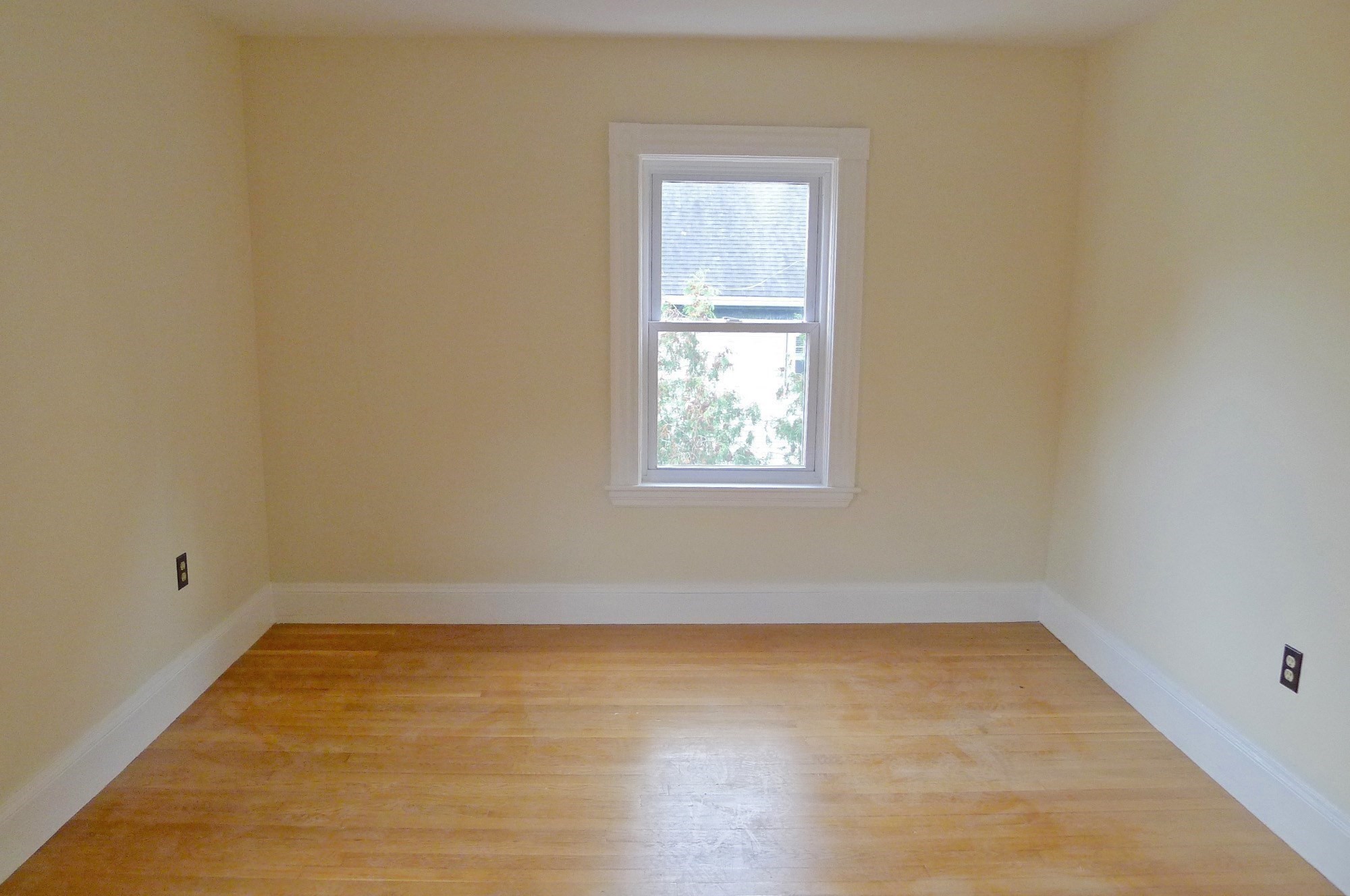 155 Oak St Property Photo 17