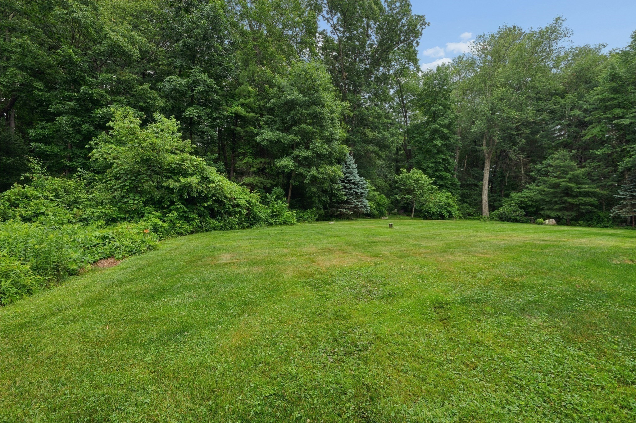 10 Sadler Road Property Photo 35