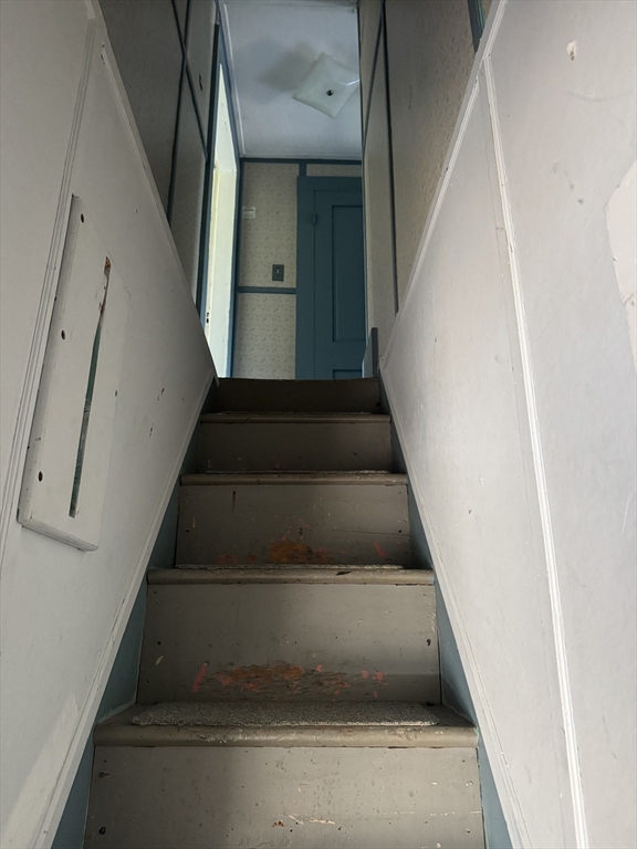 185 College St. Property Photo 23