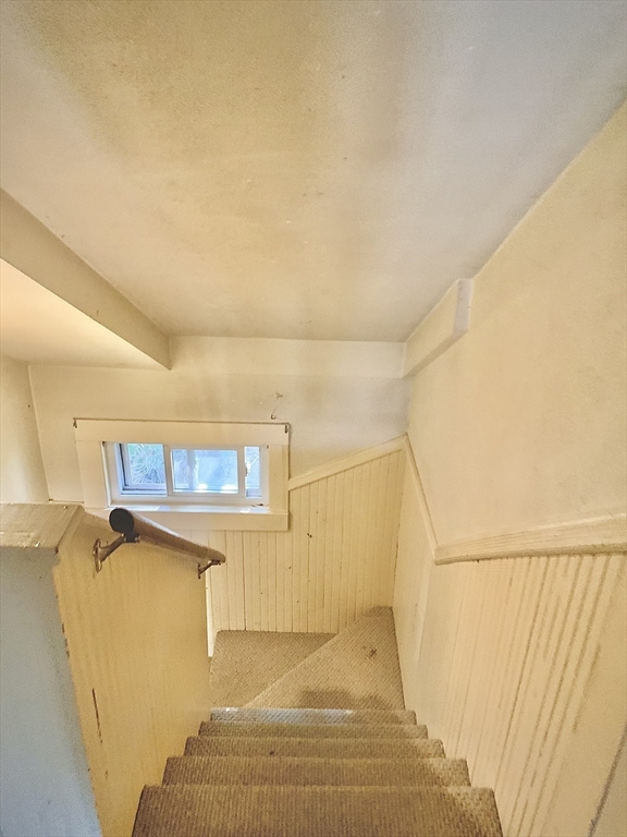 82 Francis St Property Photo 21