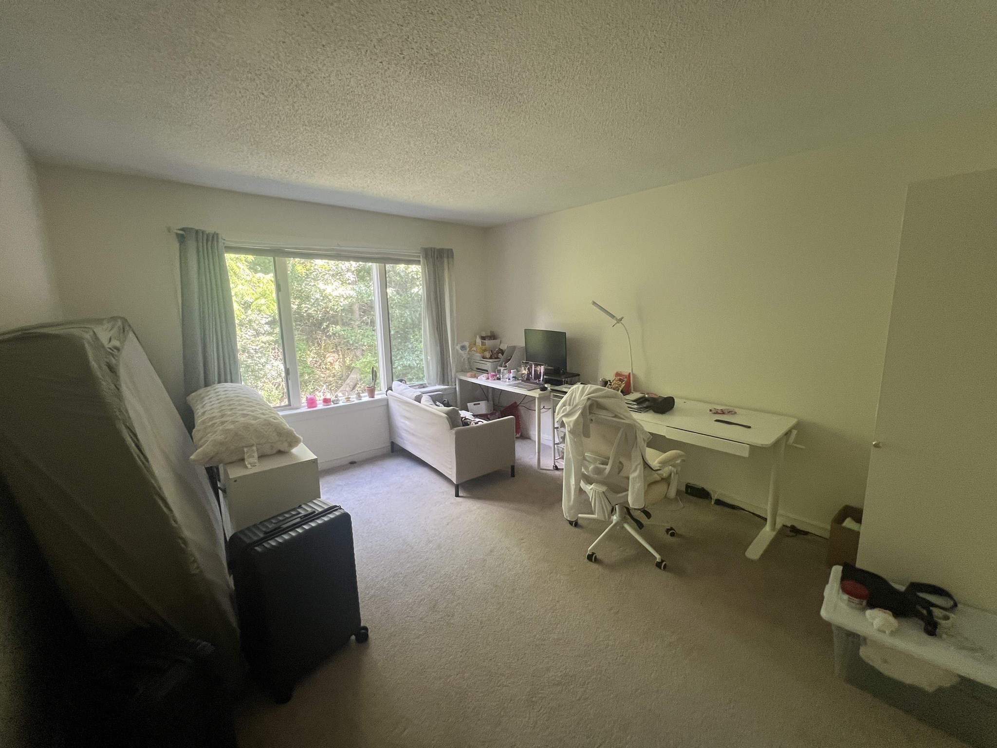 100 Rosemary Way # 223 Property Photo 3