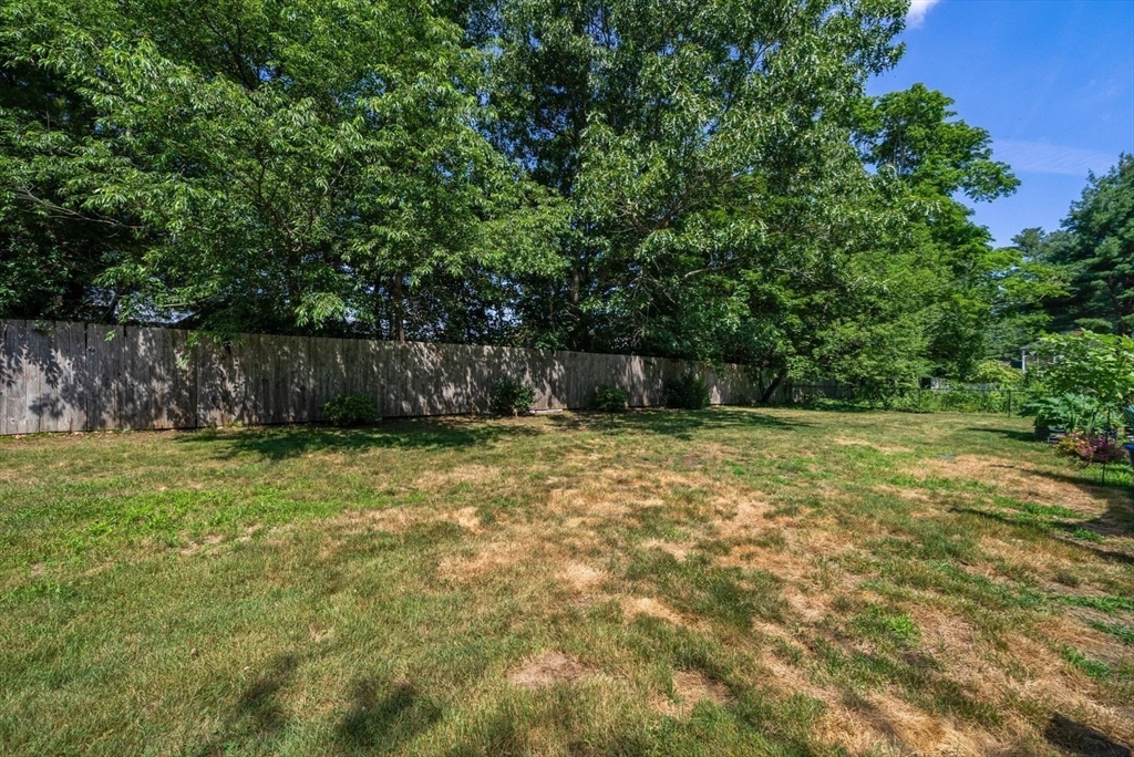 20 Nelson Street Property Photo 34