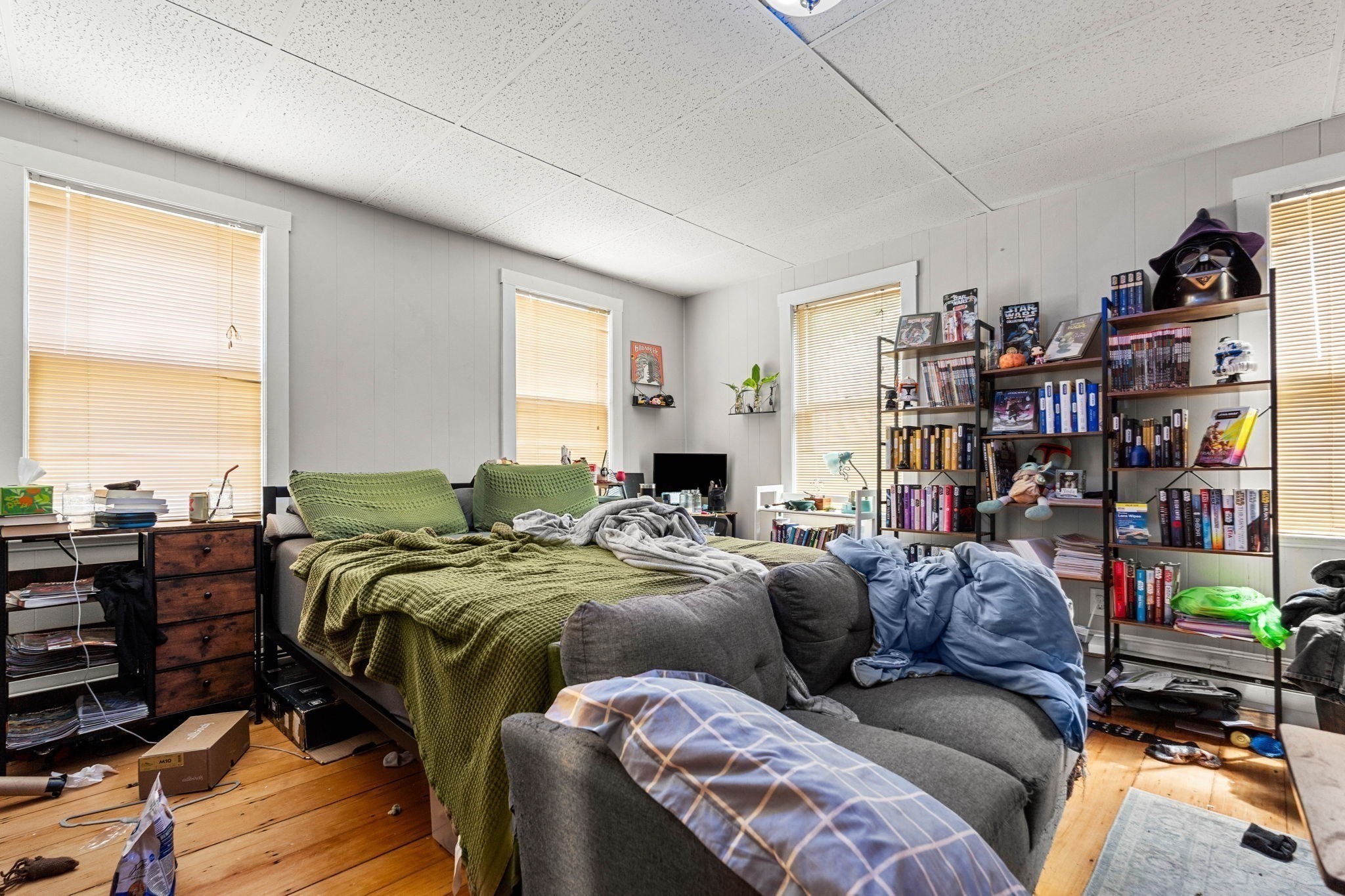 8 Saunders St Property Photo 18