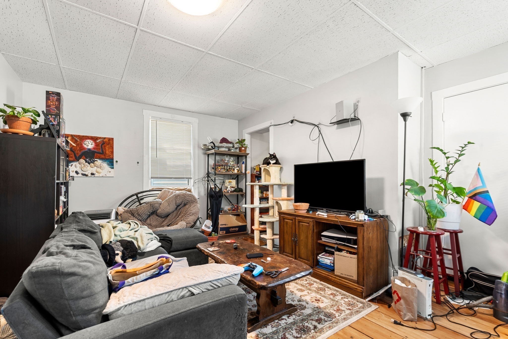 8 Saunders St Property Photo 19