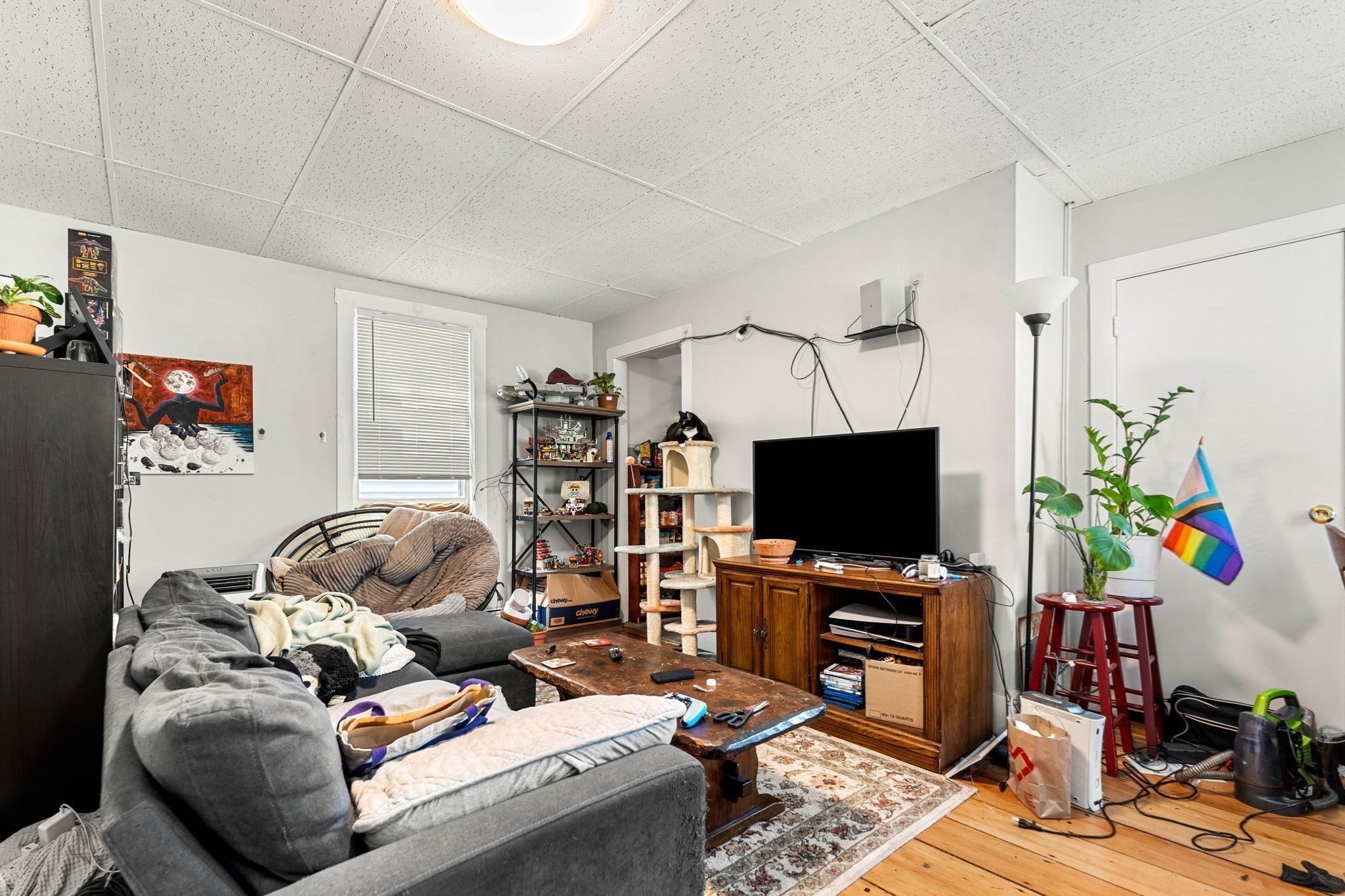 8 Saunders St Property Photo 20