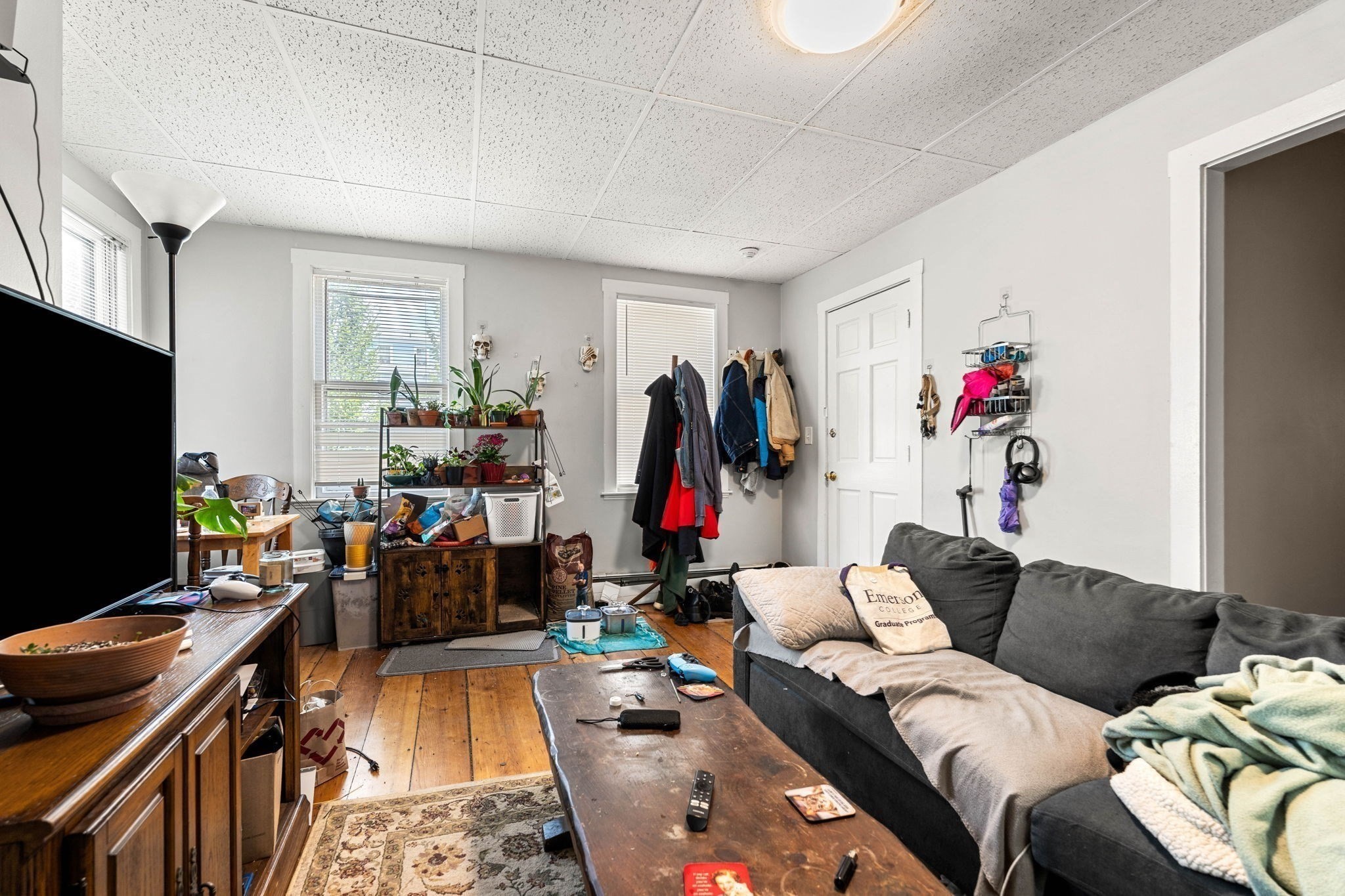8 Saunders St Property Photo 21
