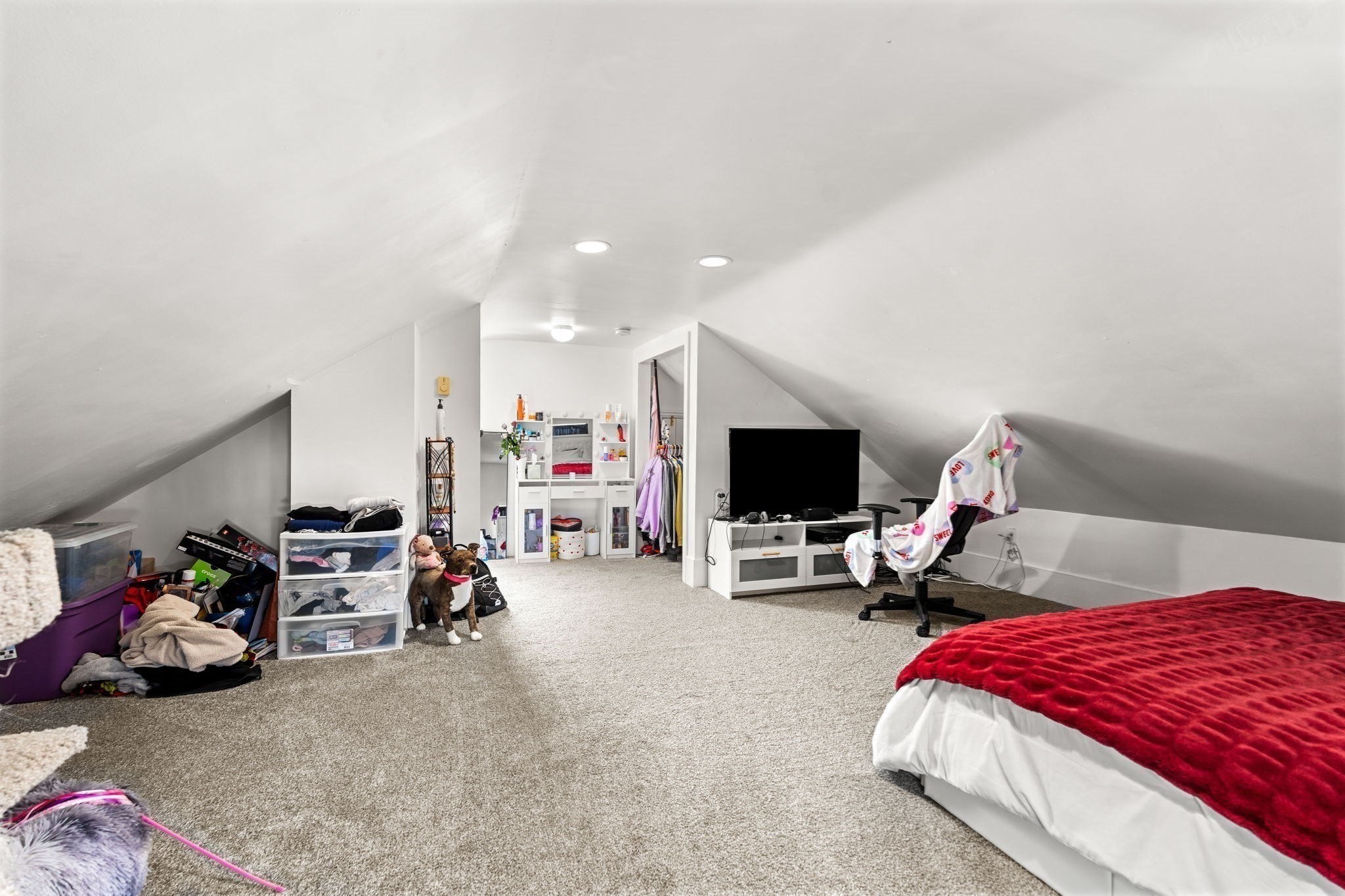 8 Saunders St Property Photo 30