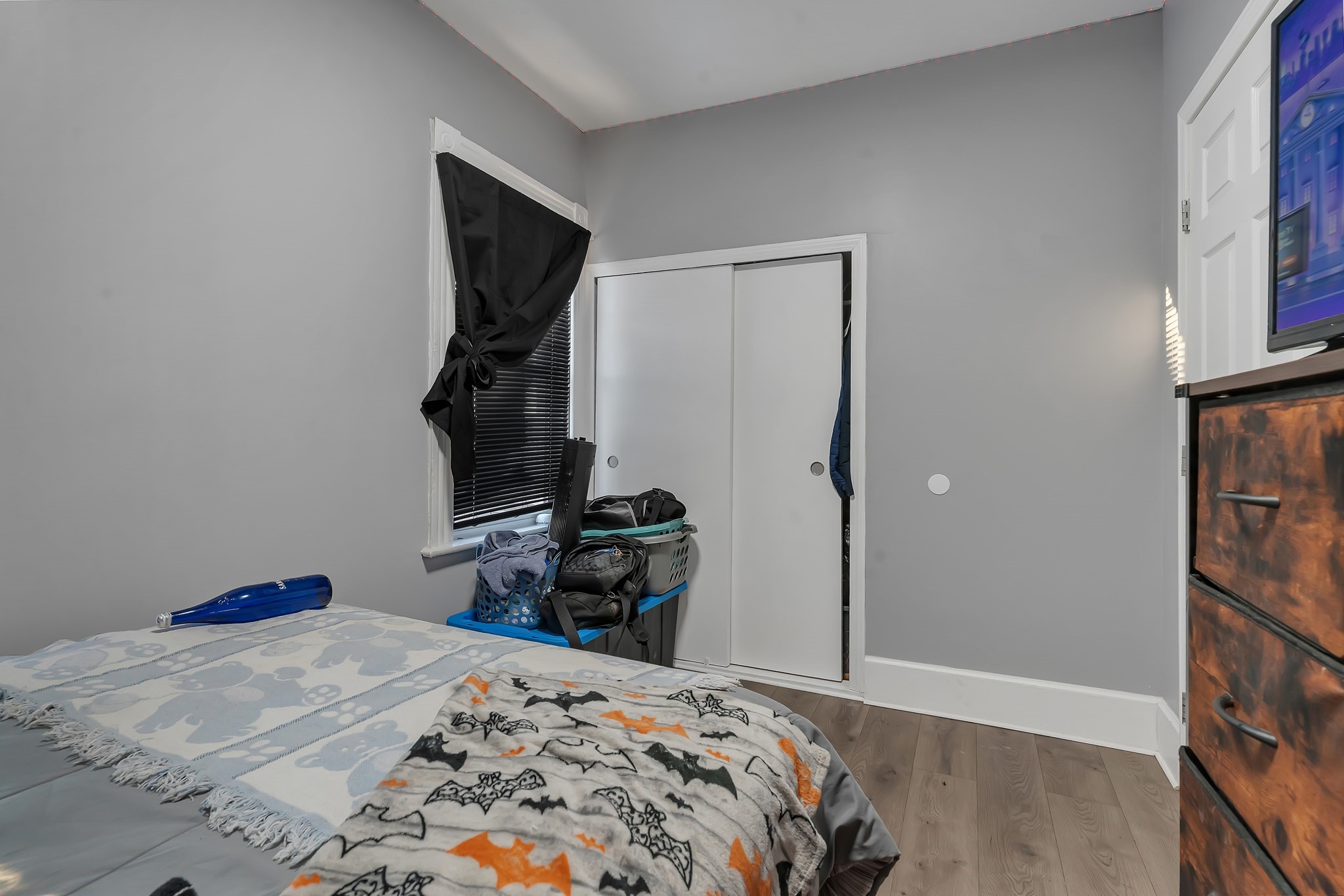 38 Mitchell St Property Photo 35