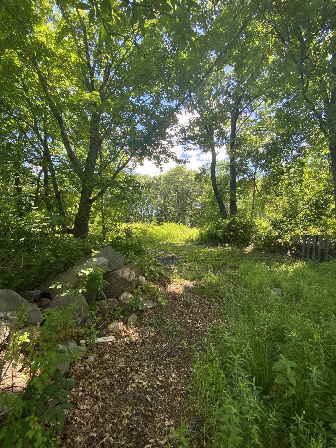 Lt 27b1a B Pennie Lane Property Photo 3