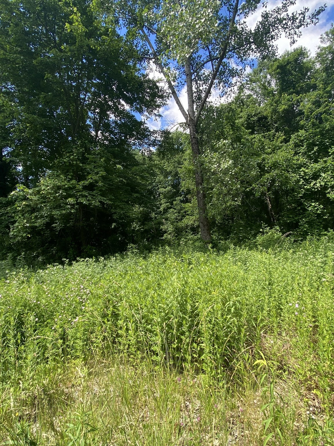 Lt 27b1a B Pennie Lane Property Photo 8