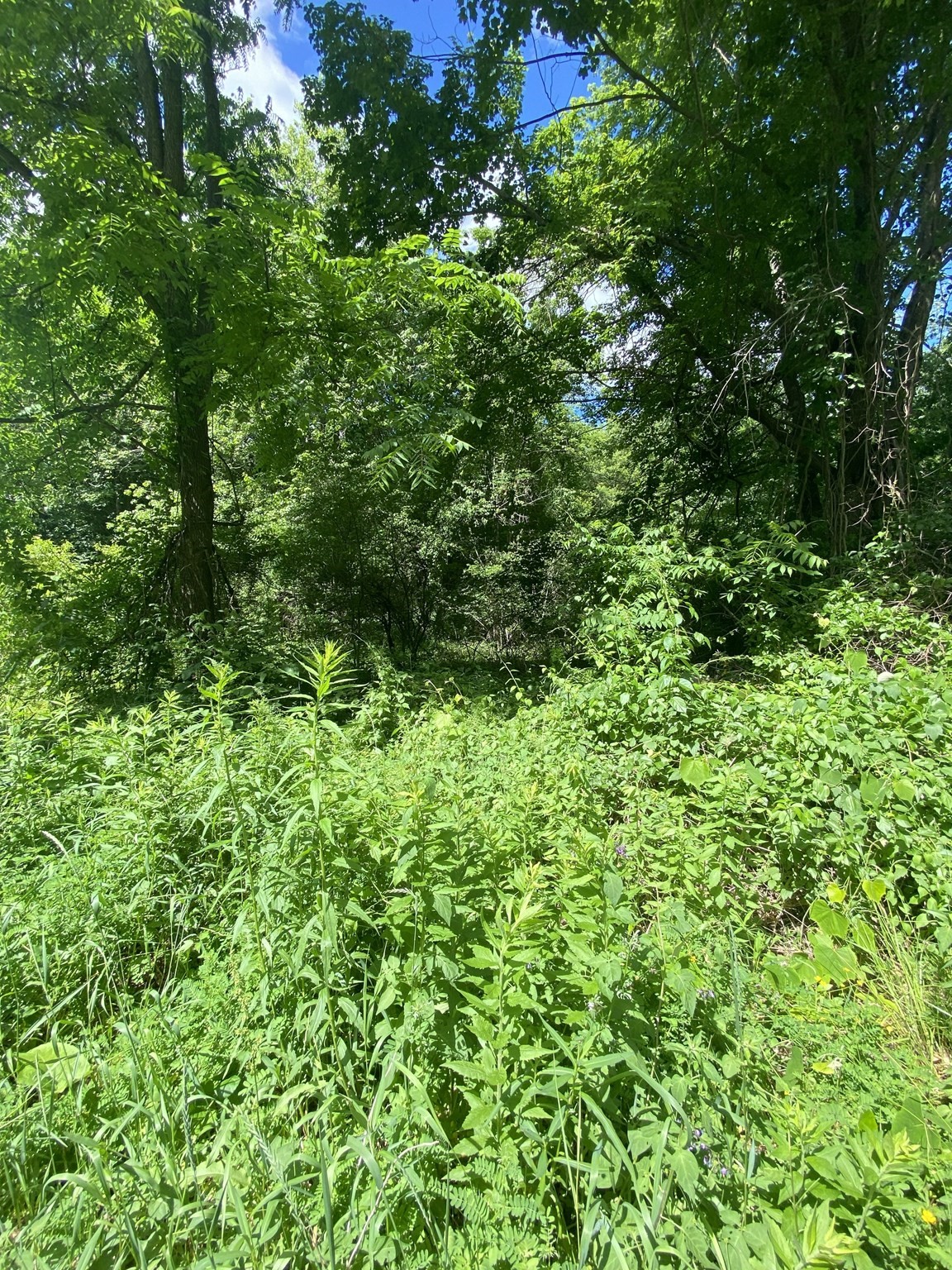 Lt 27b1a B Pennie Lane Property Photo 9