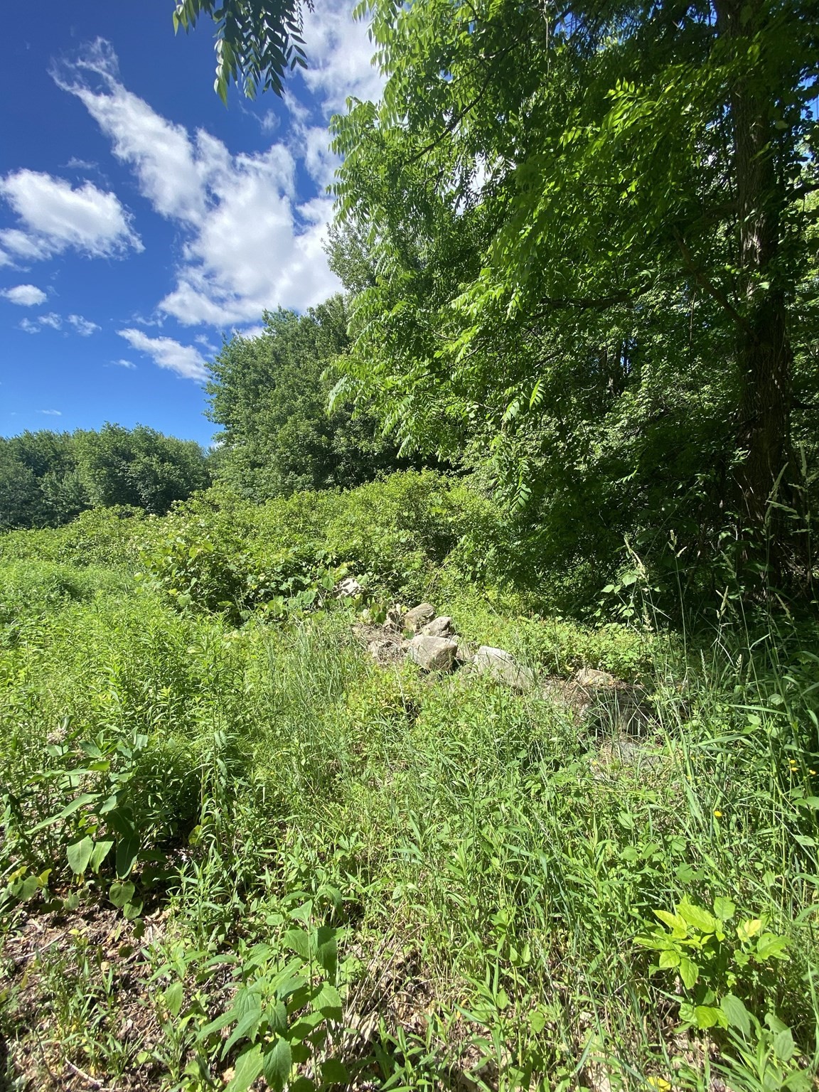 Lt 27b1a B Pennie Lane Property Photo 10