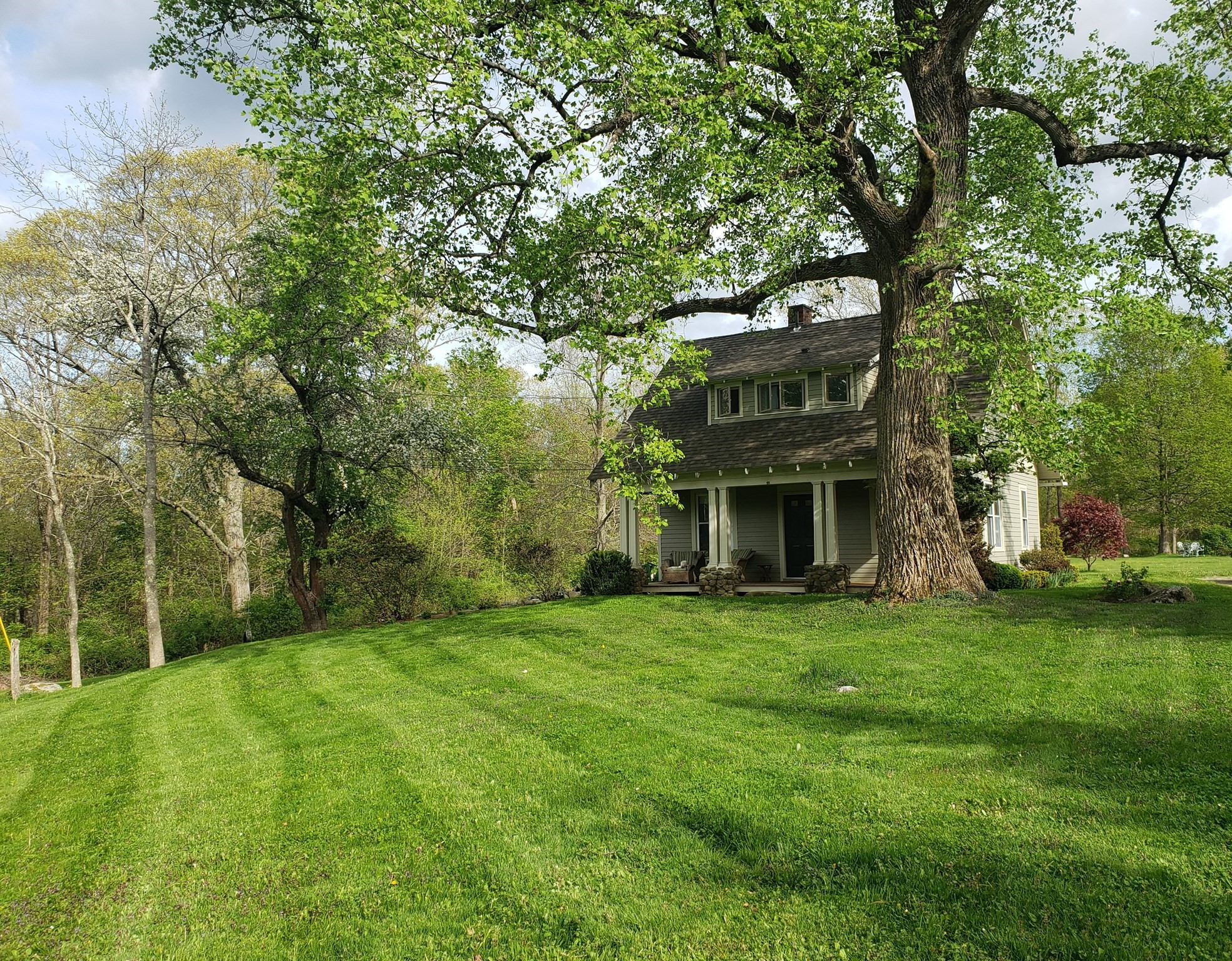 116 Hill Street Property Photo 4