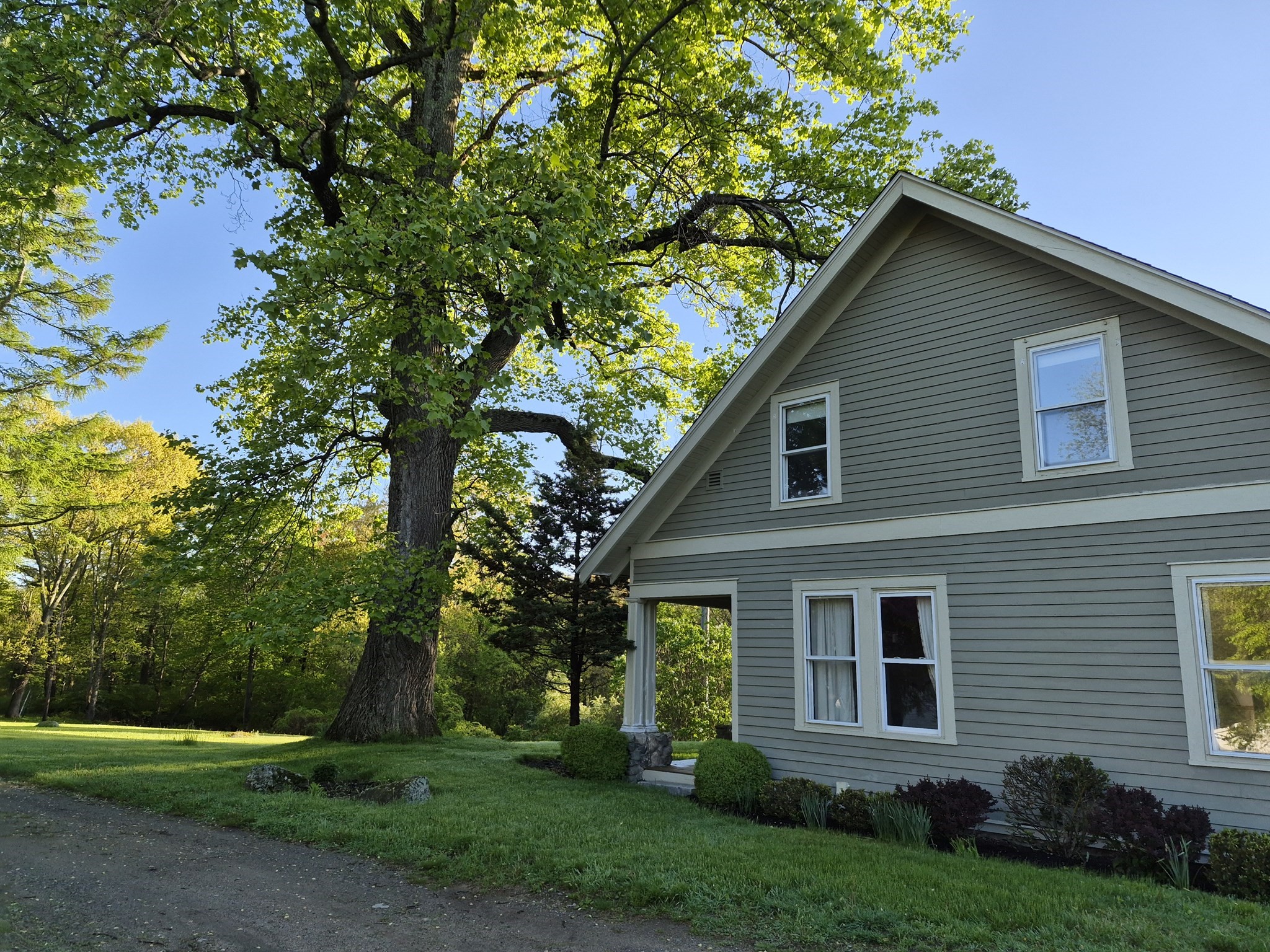 116 Hill Street Property Photo 5