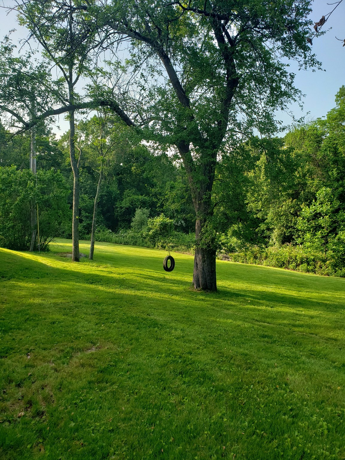 116 Hill Street Property Photo 25