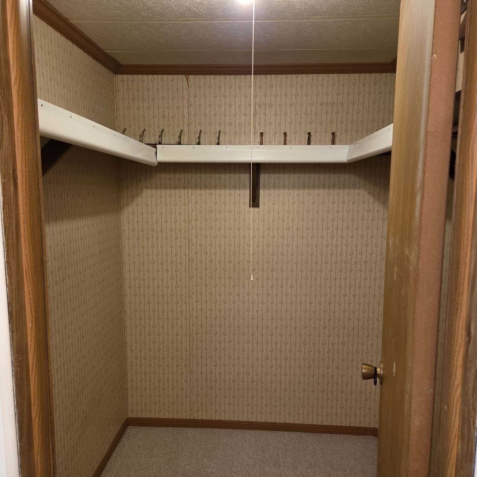 10 Clayton Drive Property Photo 9