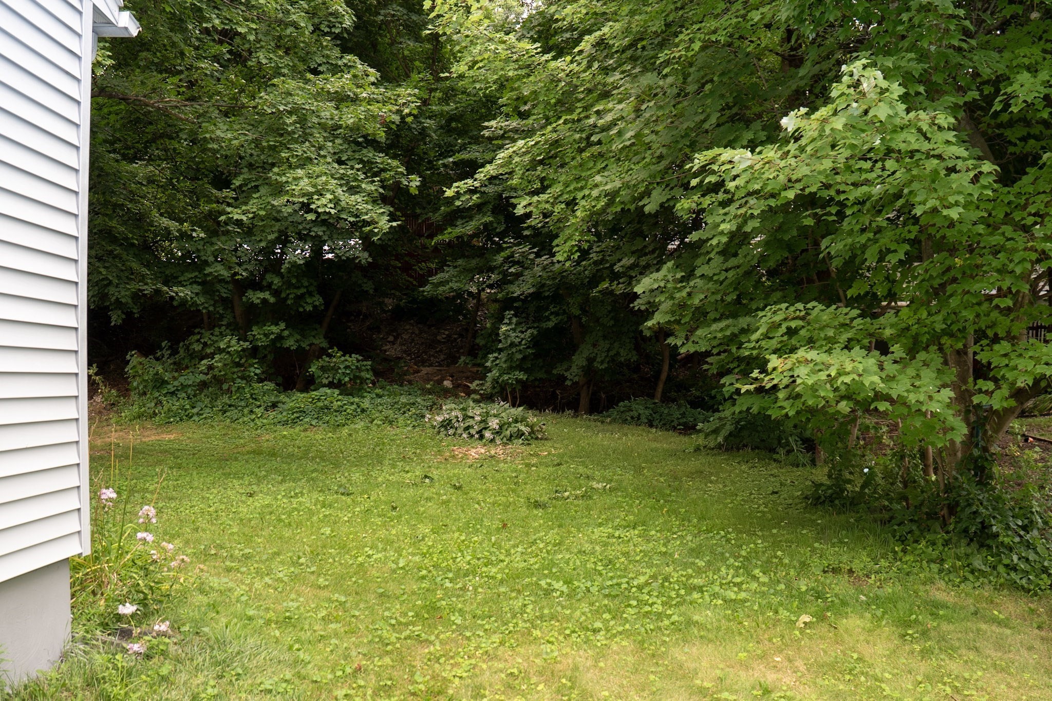 159 Roy Property Photo 6