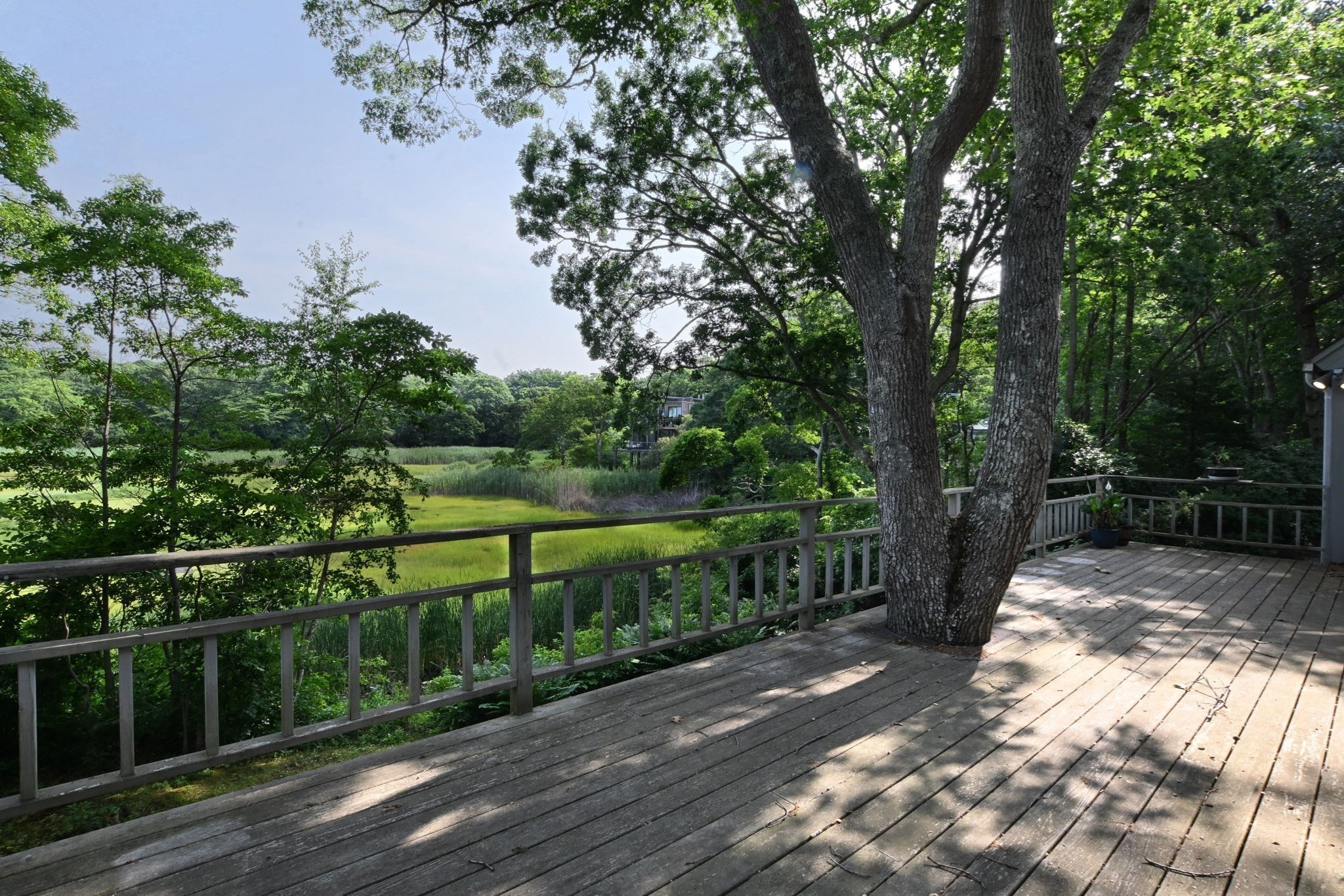 72 Loop Rd Property Photo 18
