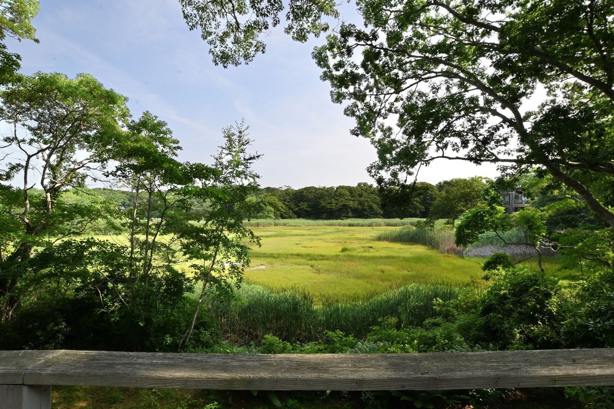72 Loop Rd Property Photo 19
