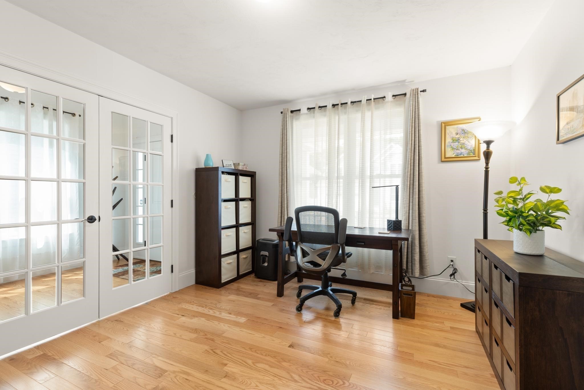45 Douglas St Property Photo 17