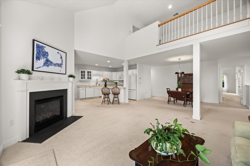 9 Blue Meadow Ct # 9 Property Photo 18