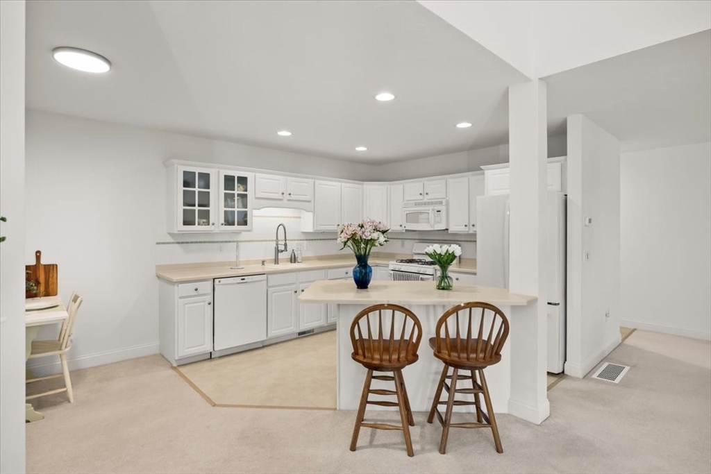 9 Blue Meadow Ct # 9 Property Photo 19