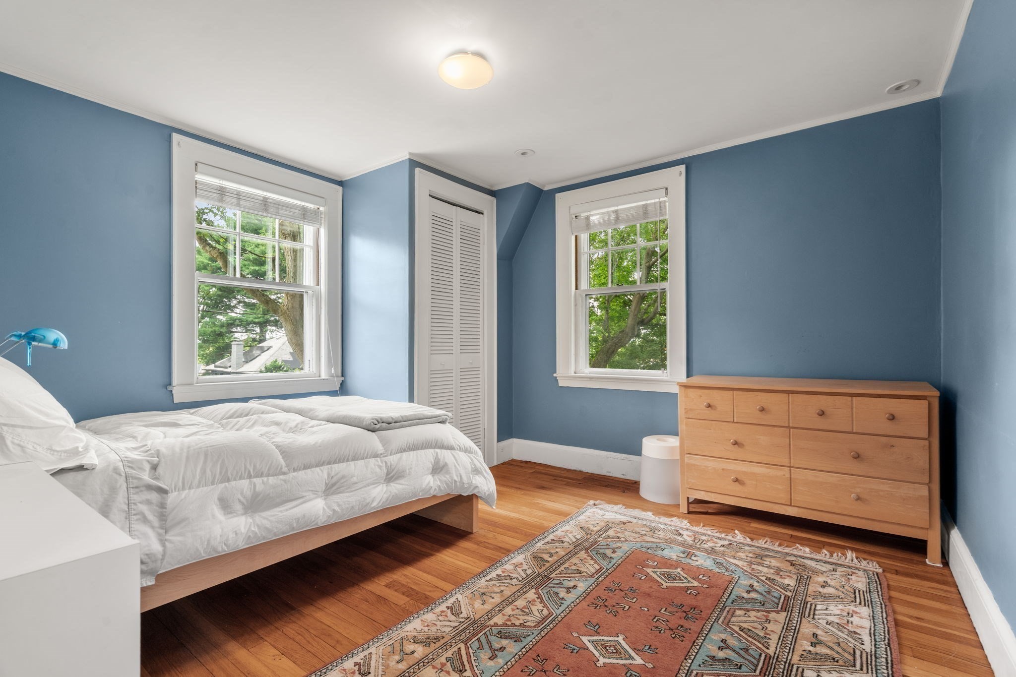 16 Lewis Street Property Photo 27