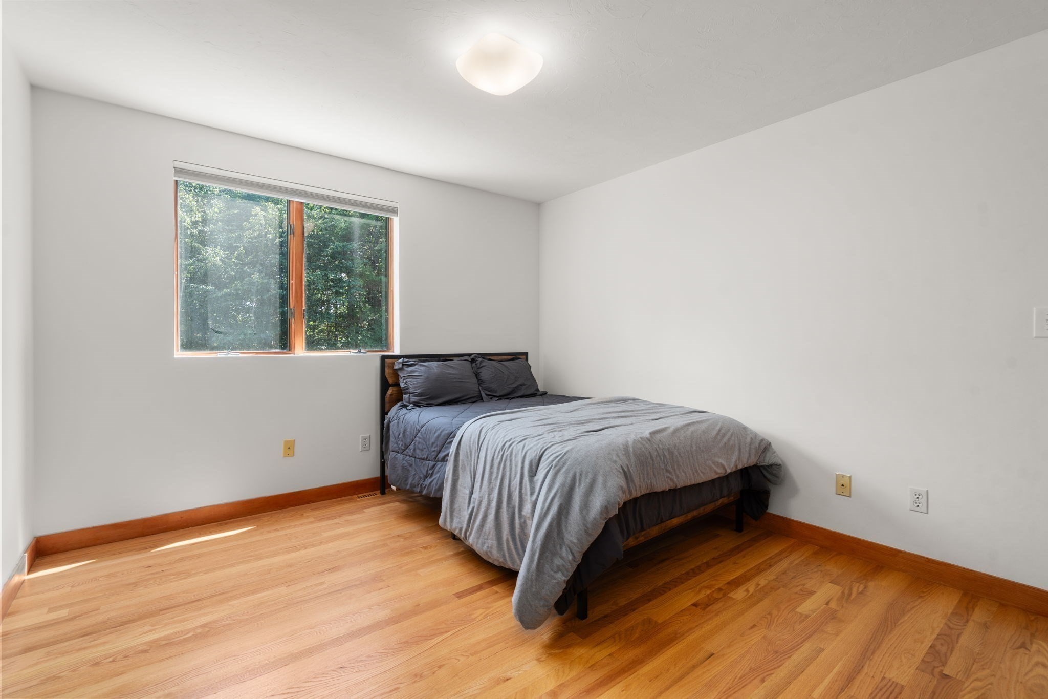 7 Larch Rd Property Photo 16