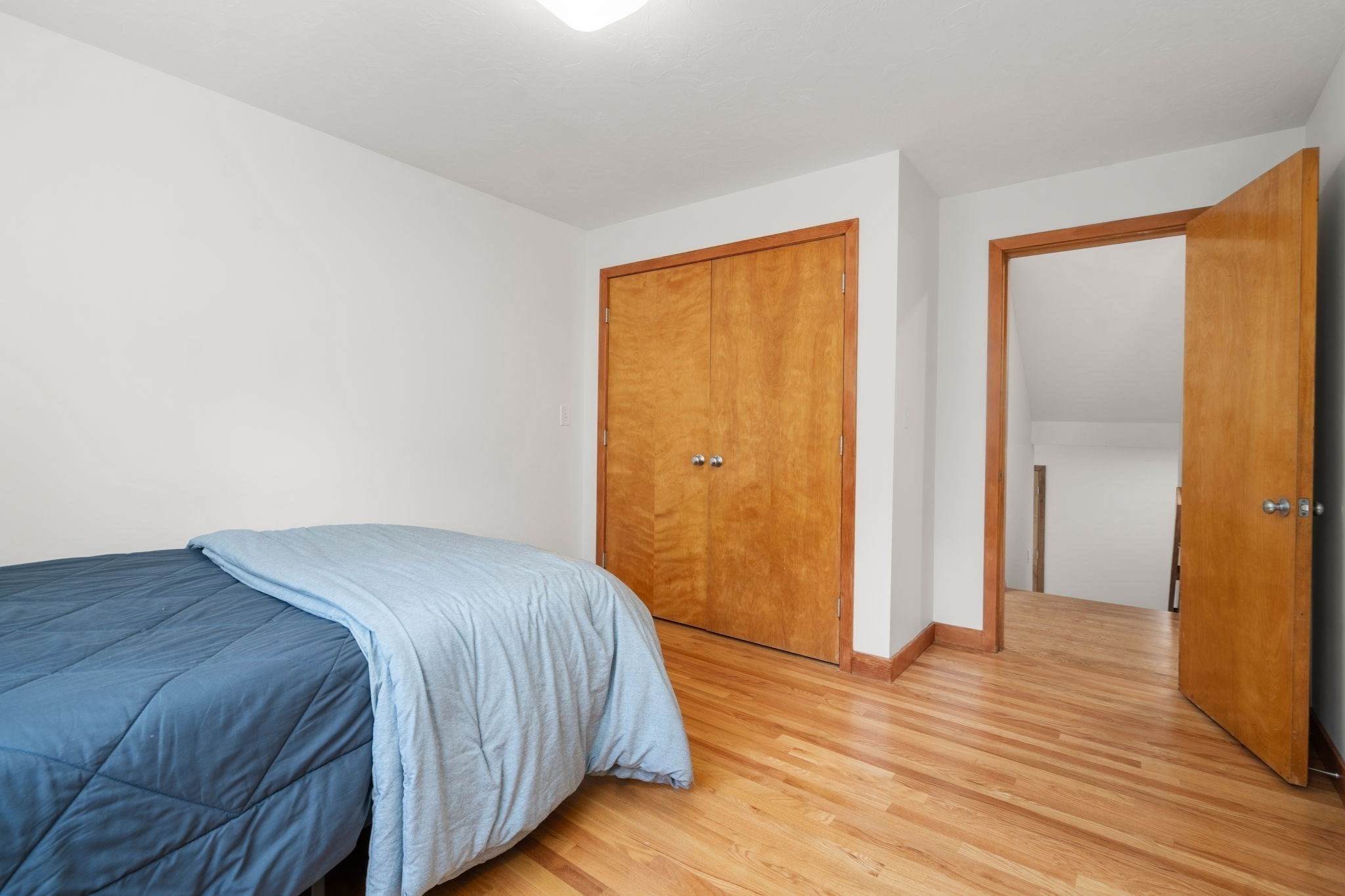 7 Larch Rd Property Photo 17