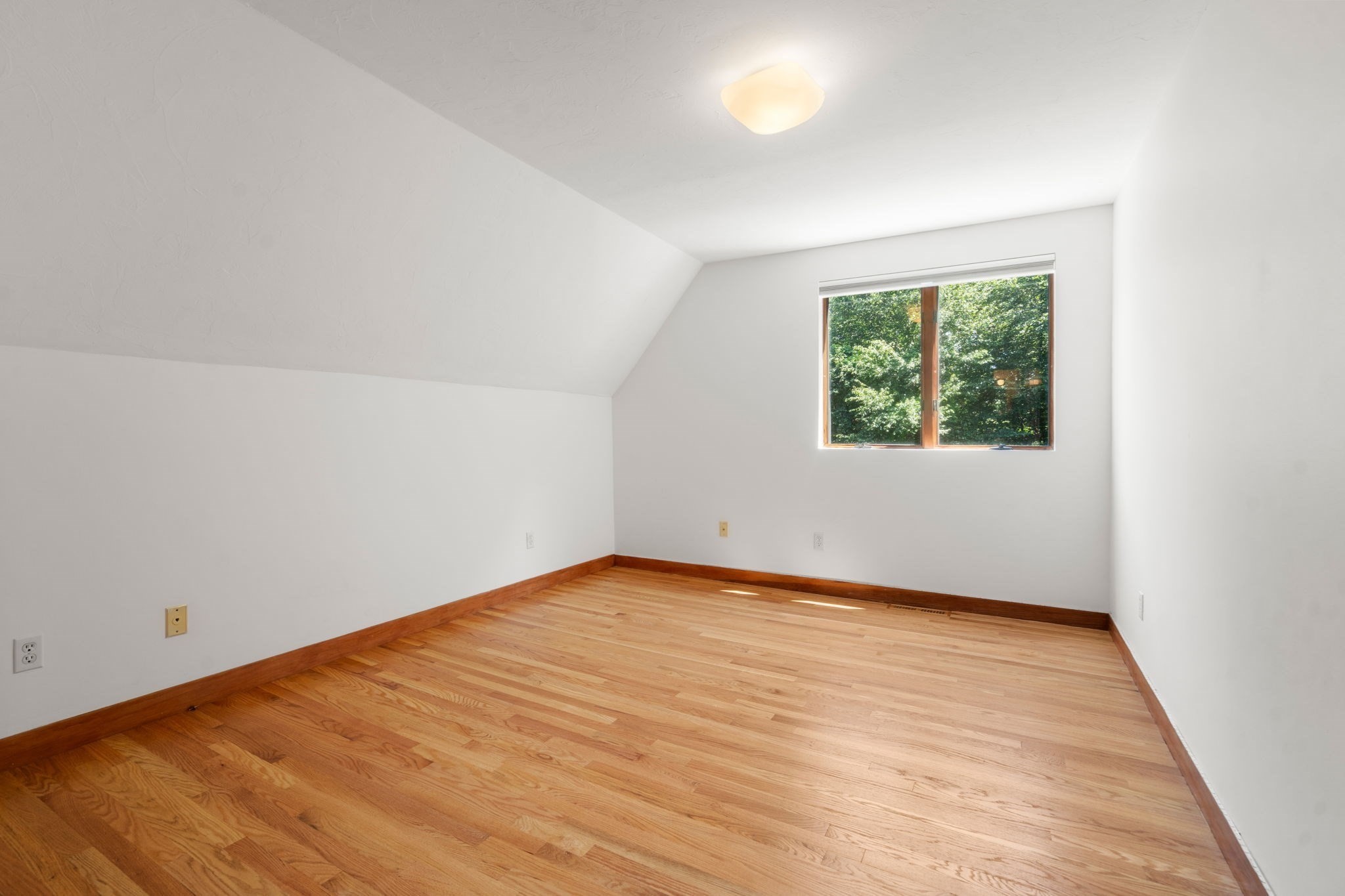7 Larch Rd Property Photo 18