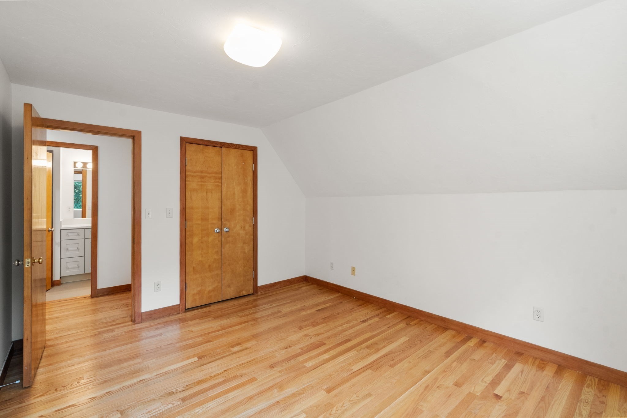 7 Larch Rd Property Photo 19