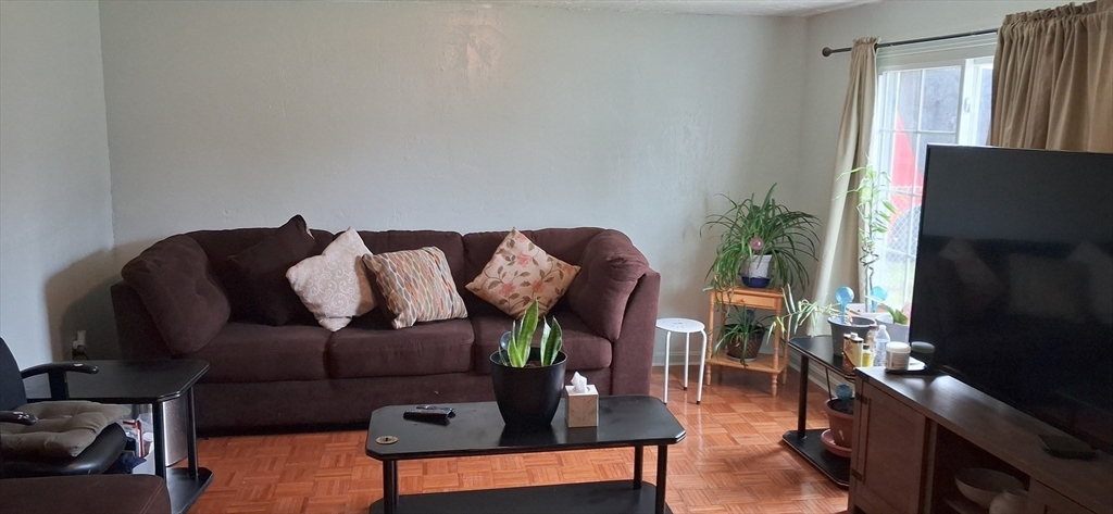 54 Carter St Property Photo 5