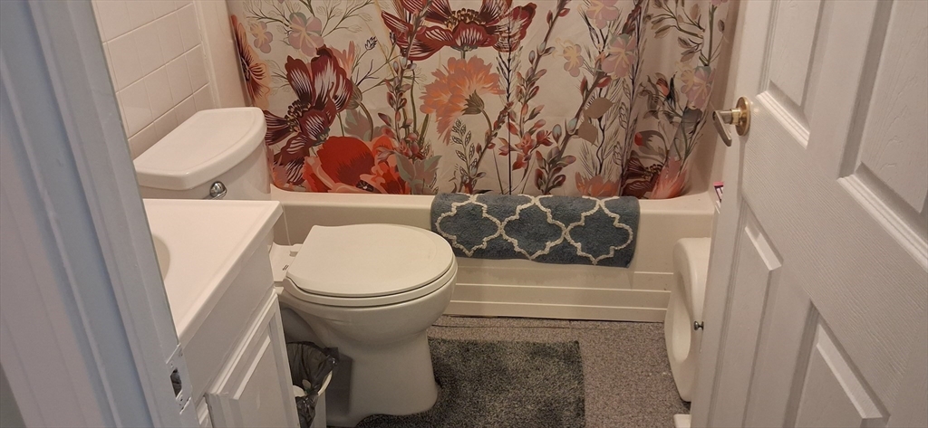 54 Carter St Property Photo 11