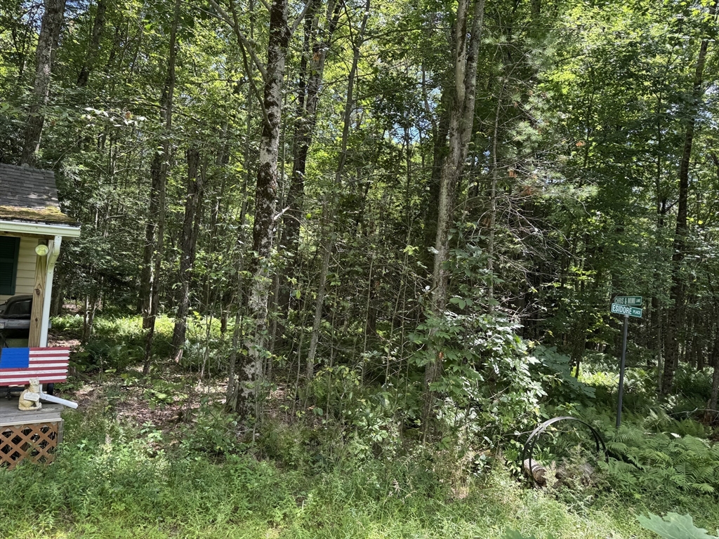 Lot 13 Algerie Rd Property Photo 3