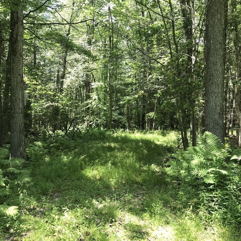 Lot 13 Algerie Rd Property Photo 14