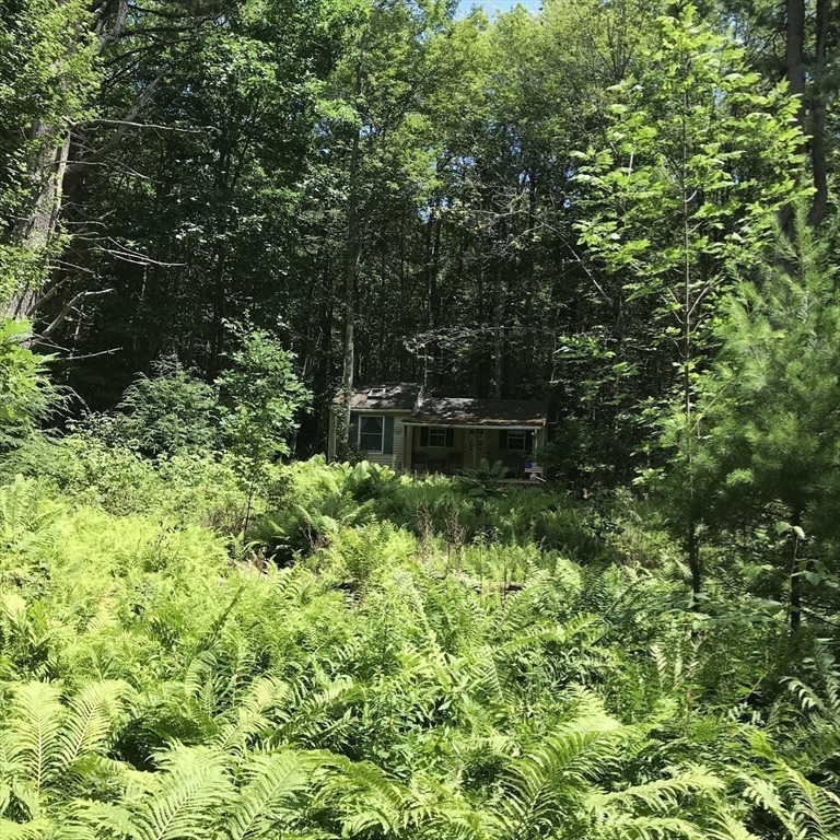 Lot 13 Algerie Rd Property Photo 17