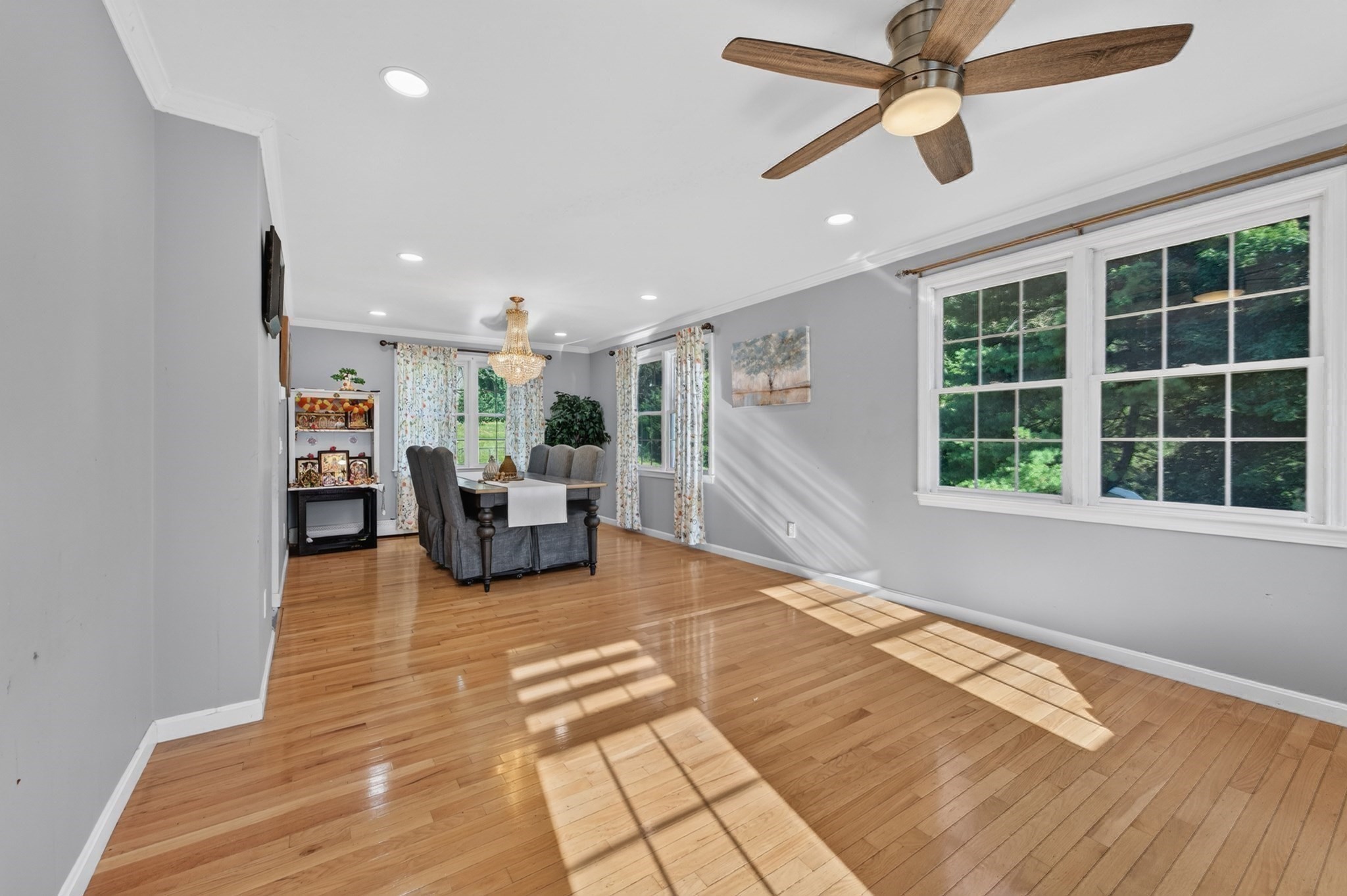 36 Shirley Rd Property Photo 15