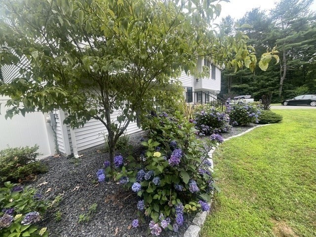 49 Richmond Rd Property Photo 22