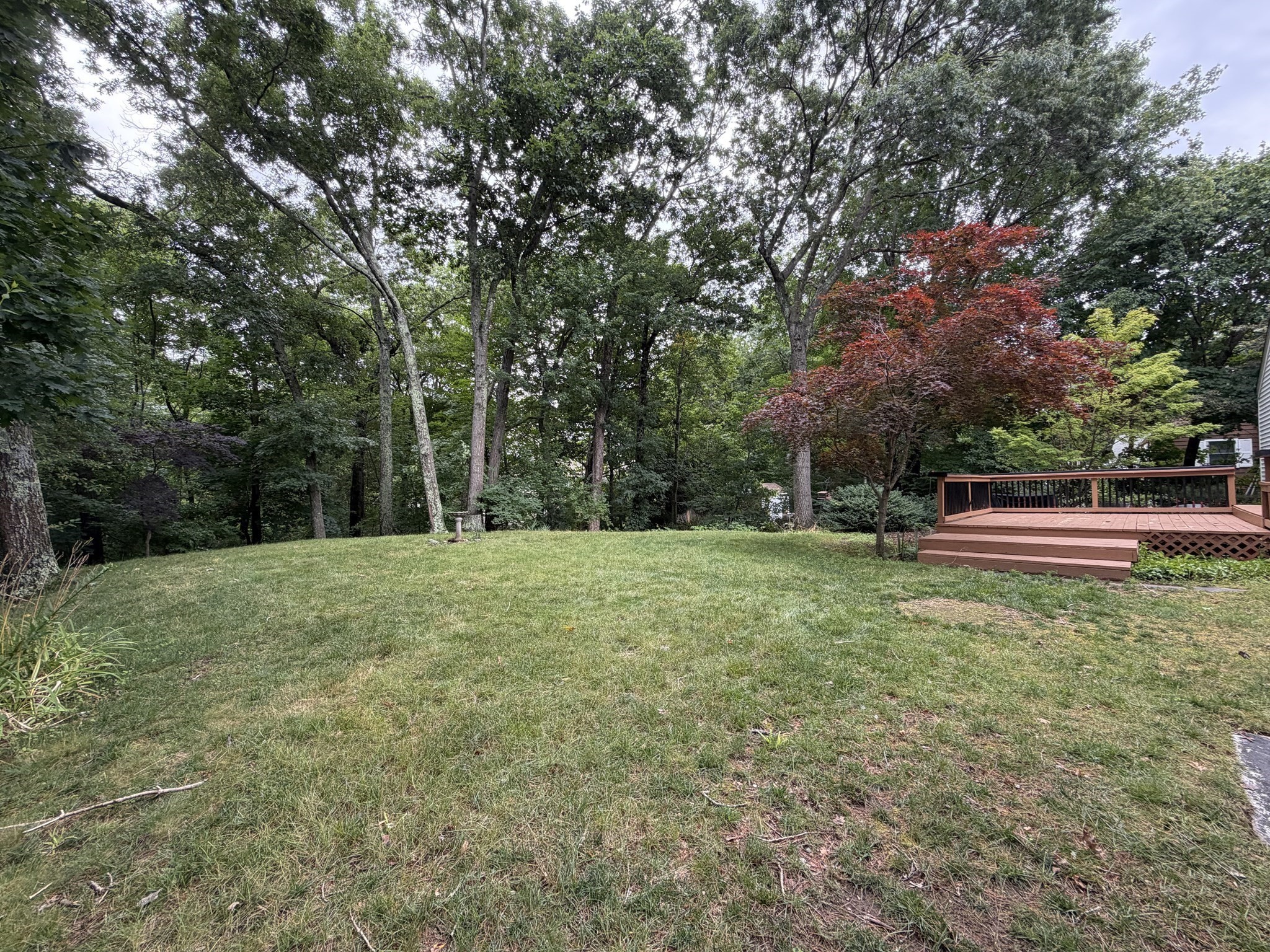 7 Wayne Dr Property Photo 37
